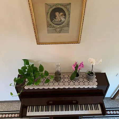 Adelina Bed & Breakfast Lucca